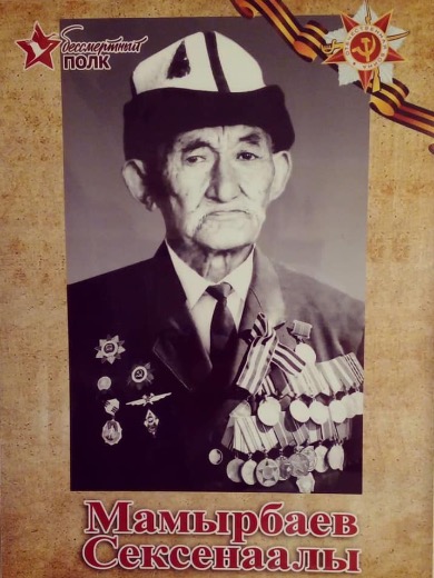 Мамырбаев Сексенаалы