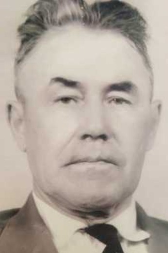 Никитин Александр Георгиевич