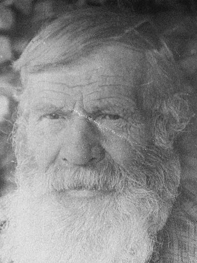 Лоханин Андрей Герасимович