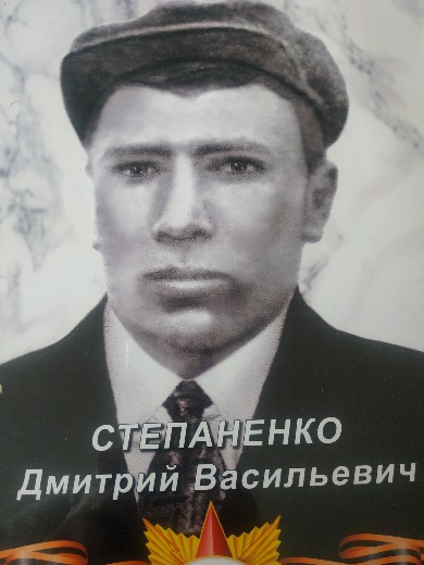 Стипаненко Дмитрий Васильевич