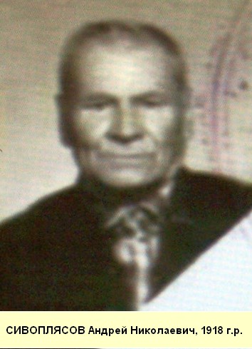 Сивоплясов Андрей Николаевич