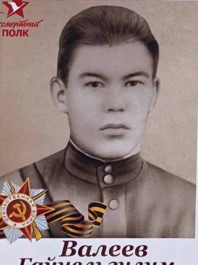 Валеев Гайнельгилим Абунагимович