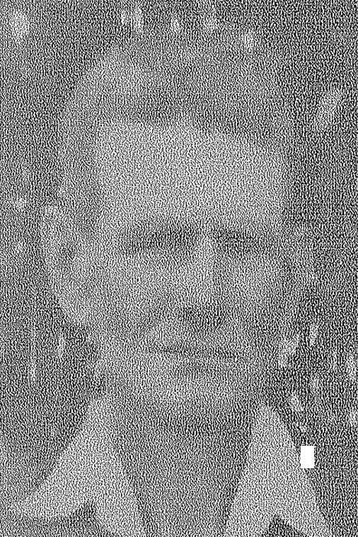 Рылов Василий Алексеевич