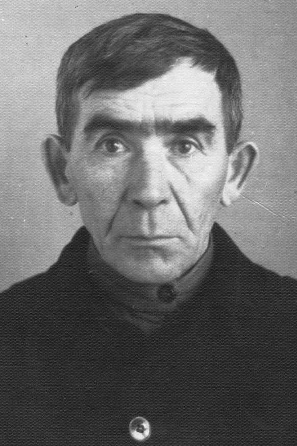 Бибиков Нил Николаевич