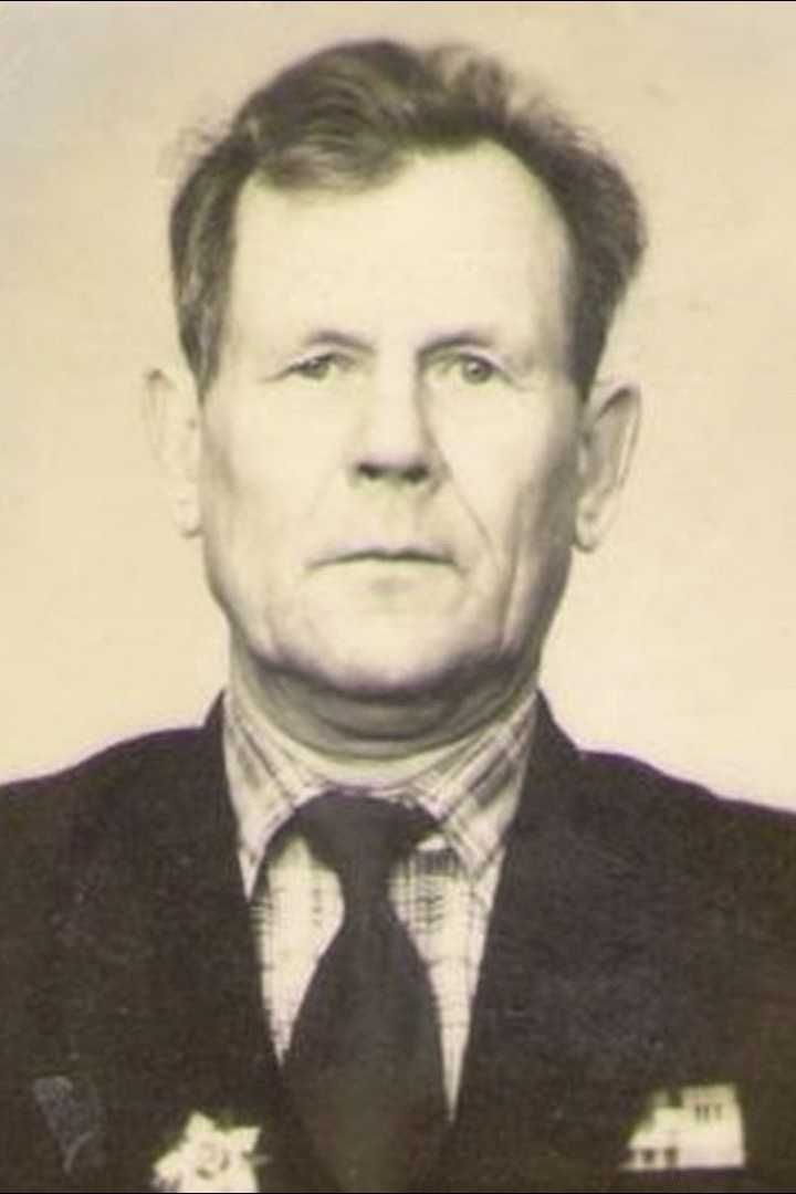 Лаптев Владимир Дмитриевич