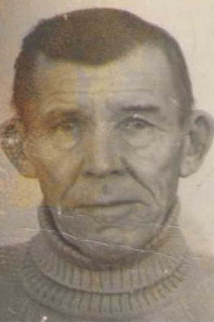 Каргин Василий Дмитриевич