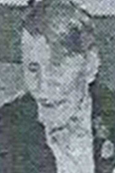 Ануфреев Евгений Александрович