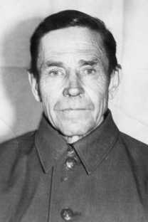 Степин Георгий Никифорович
