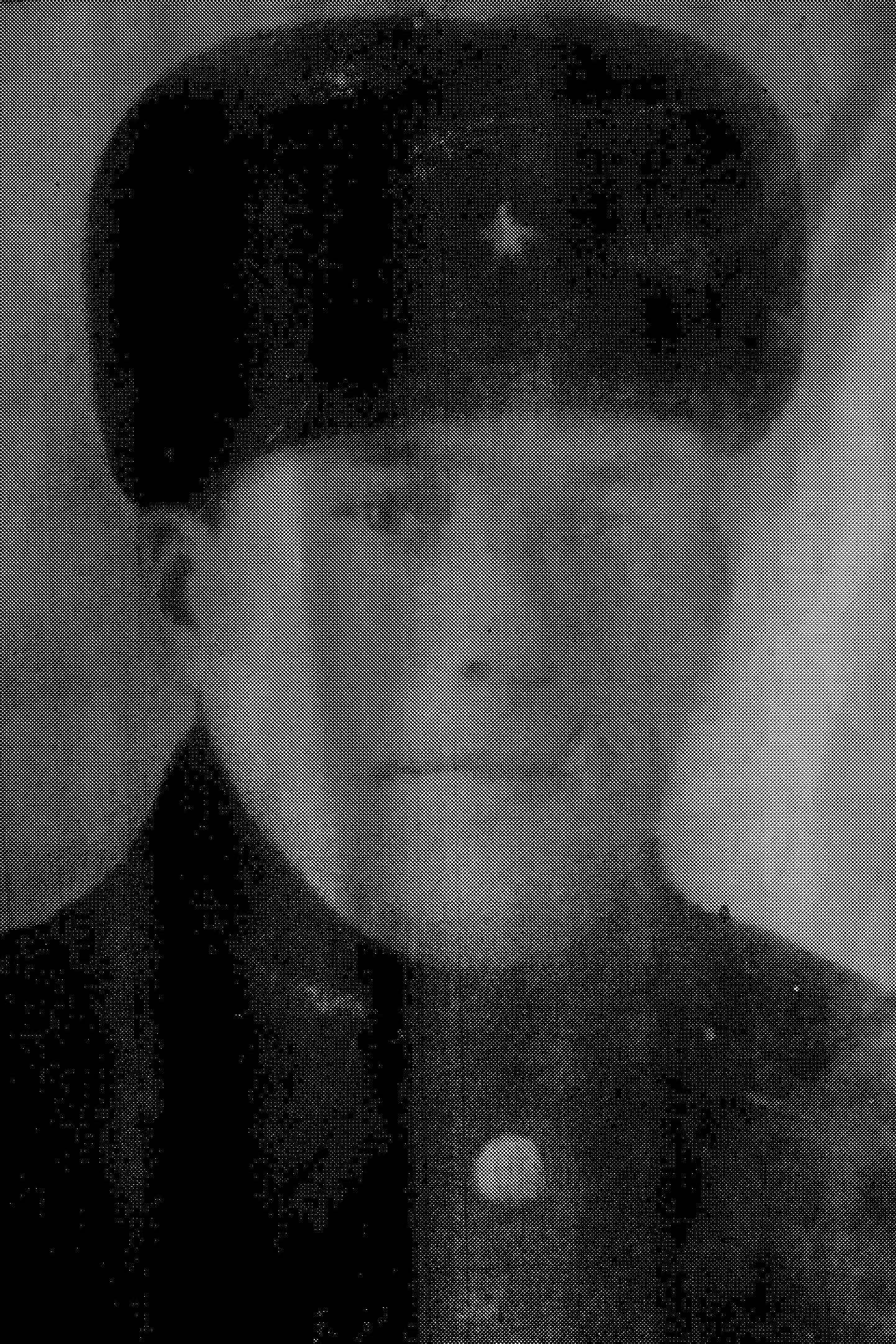 Порядков Андрей Николаевич