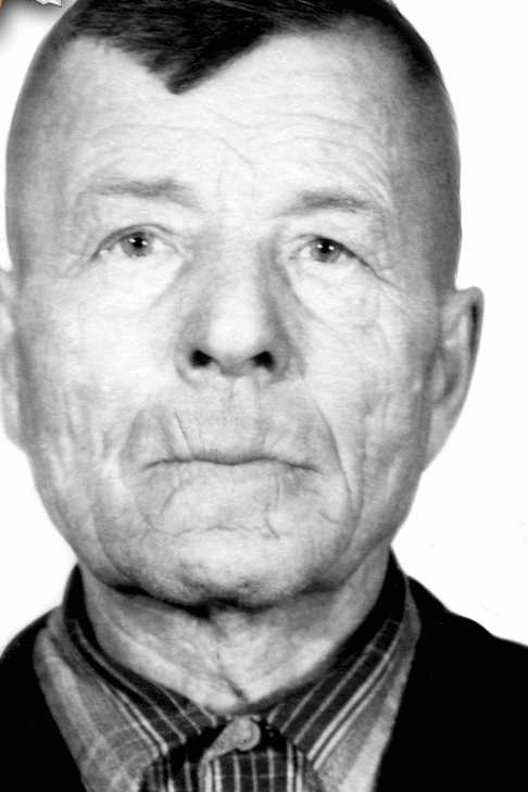 Дзюба Иван Ильич