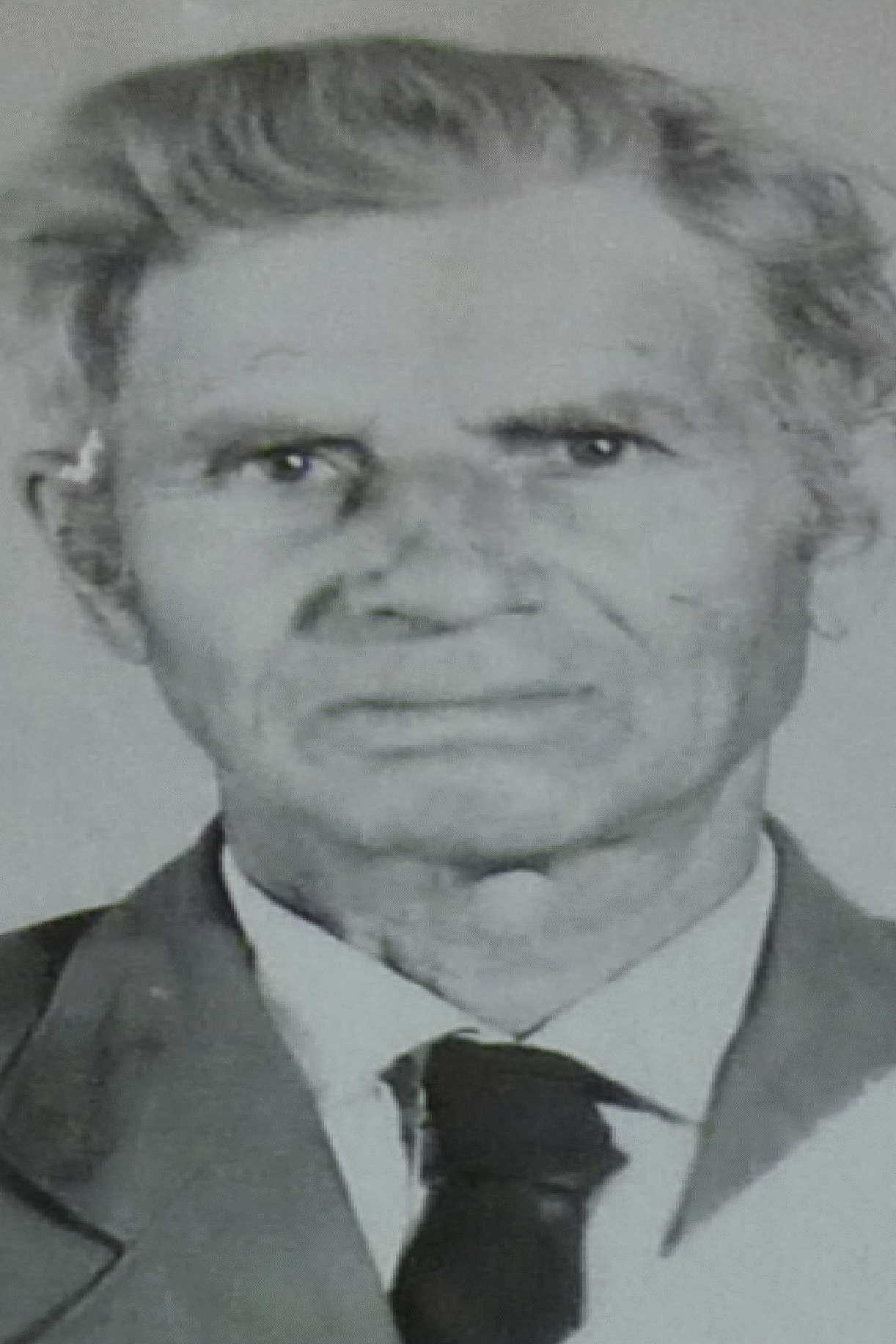 Гойкин Василий Терентьевич