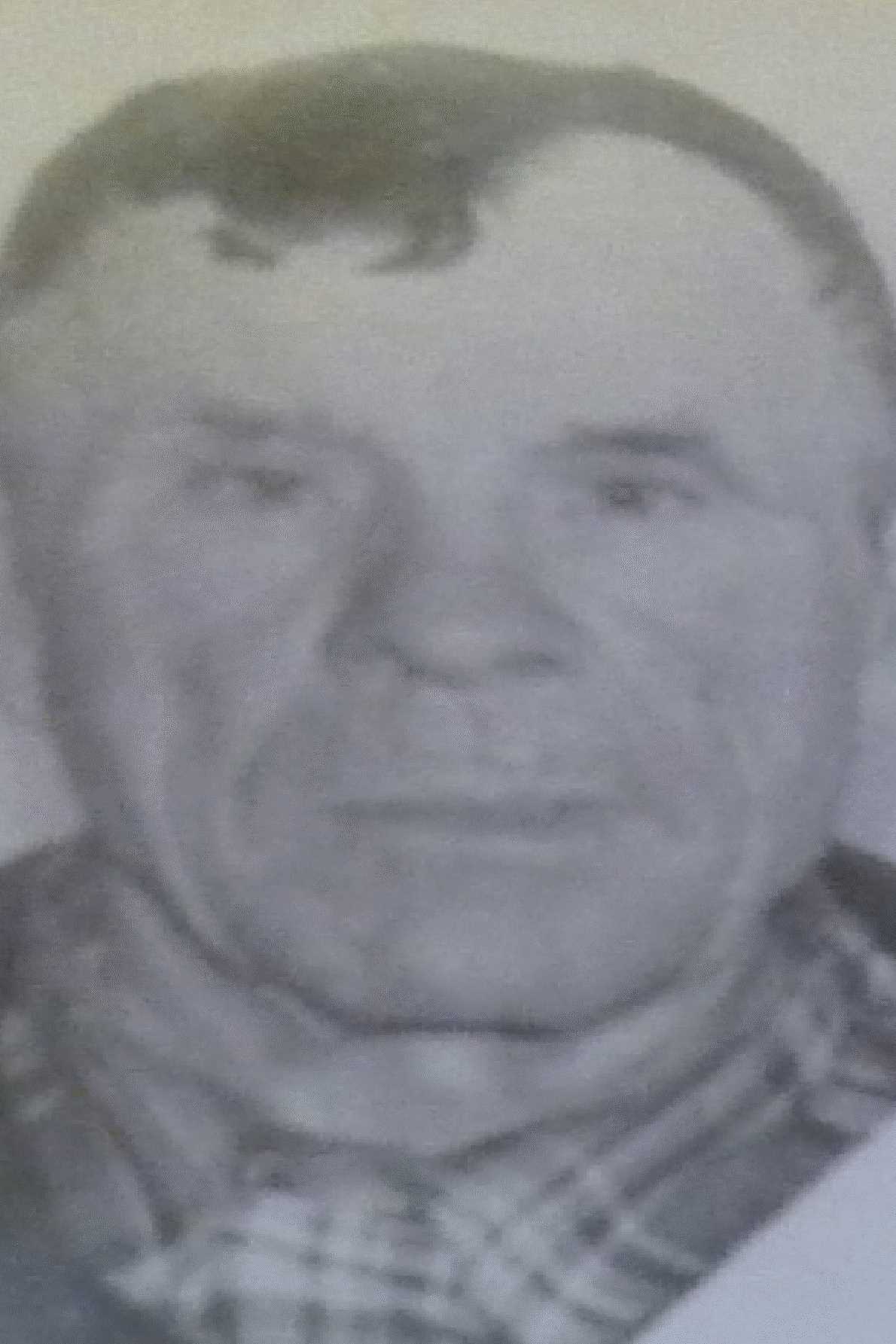Голиков Михаил Николаевич