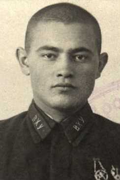 Грозный Владимир Никитович
