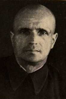 Алисин Николай Васильевич