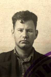 Динерштейн Исаак Соломонович|Саламонович