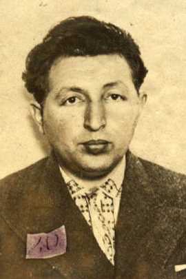 Гитин Марк Моисеевич|Мойсеевич