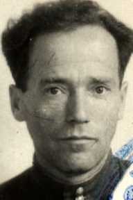 Гуревич Александр Ефимович