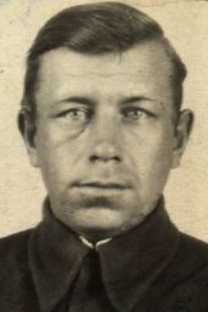 Новгородов Николай Платонович|Плотонович