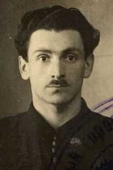 Перлин Моисей Абрамович