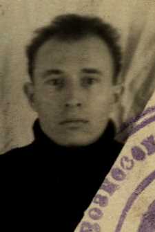 Шмельков Дмитрий Иванович