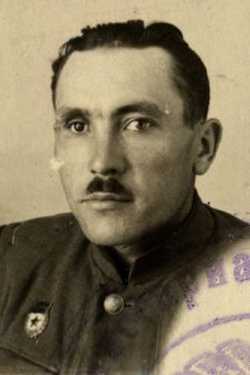 Петрожицкий Михаил Емельянович