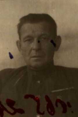 Дмитриев Владимир Михайлович