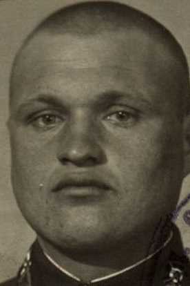 Никулин Григорий Николаевич