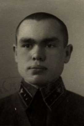 Домницкий Владимир Дмитриевич