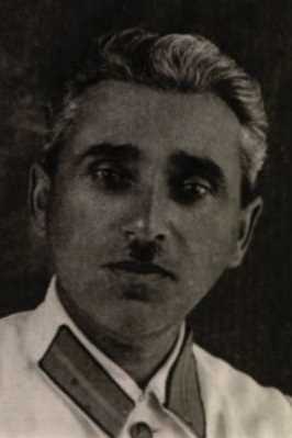 Синани Арон Иосифович