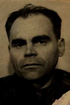 Левин Давид Иосифович
