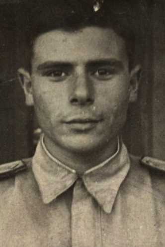 Соловей Ниссон Львович